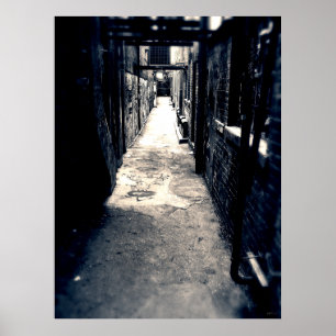 Urban Alley Poster
