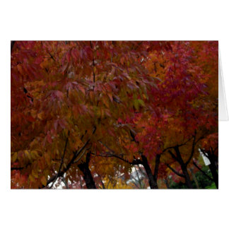 Urban Autumn