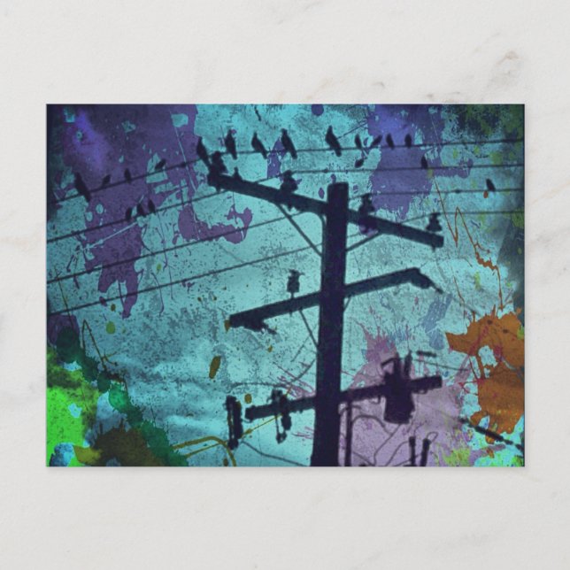 Urban Bird's Life Postcard (Front)