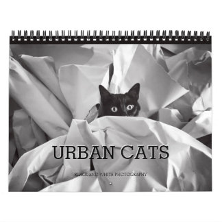 Urban Cats Black and White Photography Calendar