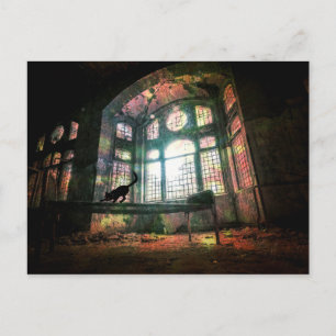 Urban Decay Old Stained Glass Black Cat Postcard