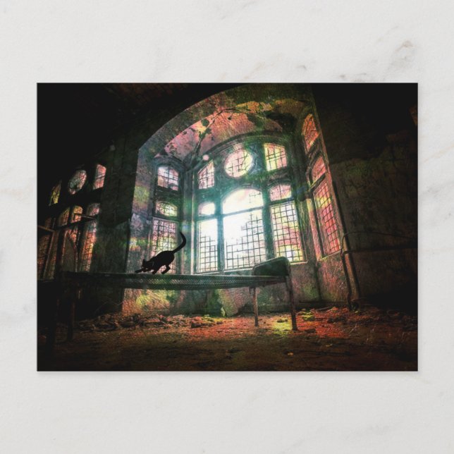 Urban Decay Old Stained Glass Black Cat Postcard (Front)