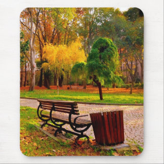 Urban Fall   (HDR) Mouse Mat