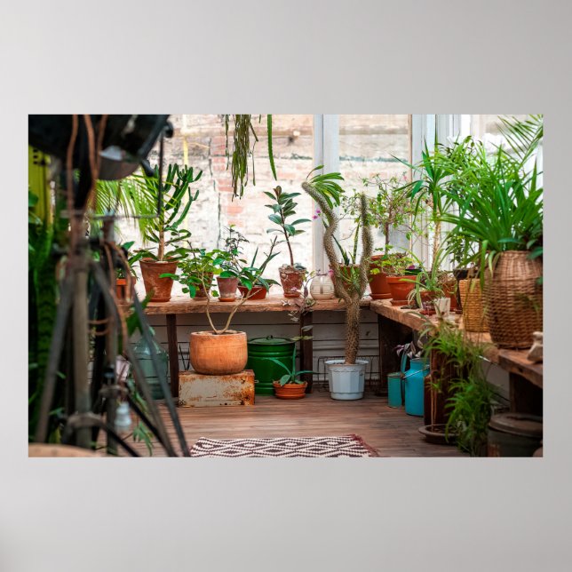 Urban jungle. Winter garden with plants, flowers.  Poster (Front)