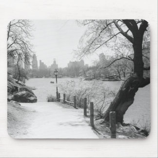 Urban park with tranquil lake mouse mat