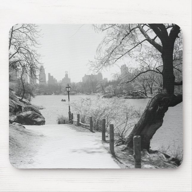 Urban park with tranquil lake mouse mat (Front)