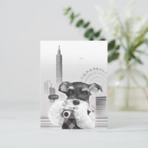 Urban Photographer: Schnauzer in Taipei City