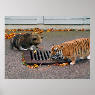 Urban waterhole poster