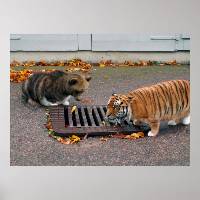 Urban waterhole poster (Front)