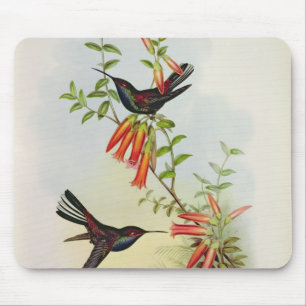 Urochroa Bougieri Mouse Mat