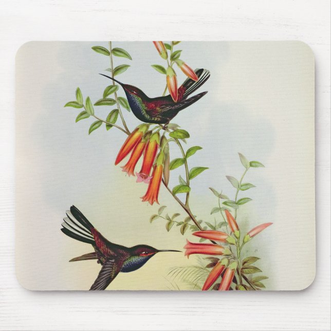 Urochroa Bougieri Mouse Mat (Front)