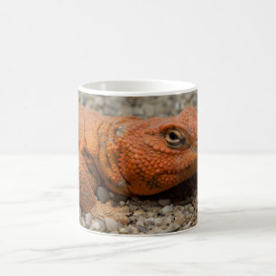 Uromastyx geyri coffee mug