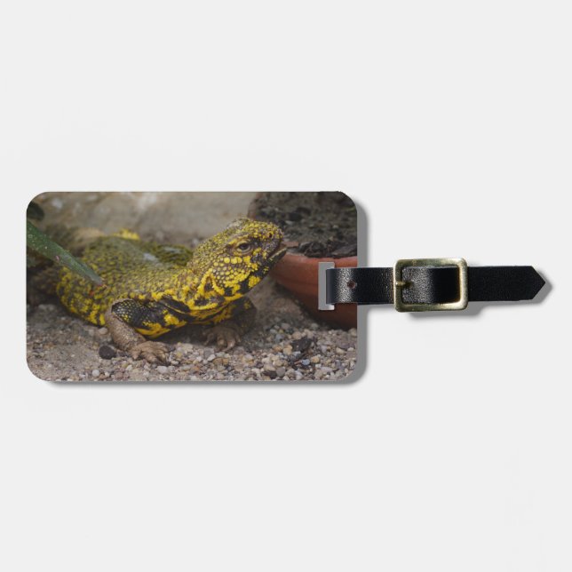 Uromastyx geyri luggage tag (Front Horizontal)