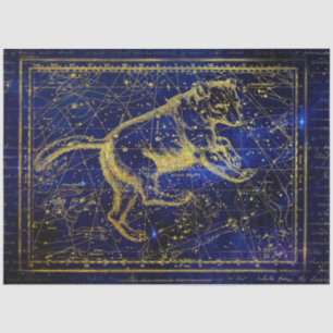 ursa major constellation tissue paper