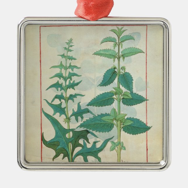 Urticaceae Metal Tree Decoration (Front)