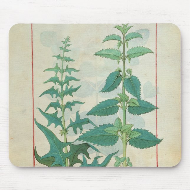 Urticaceae Mouse Mat (Front)