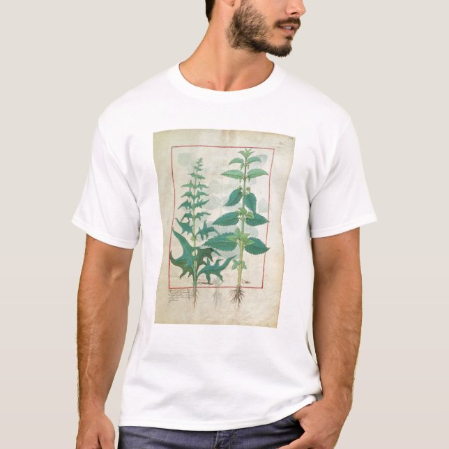 Urticaceae T-Shirt (Front)