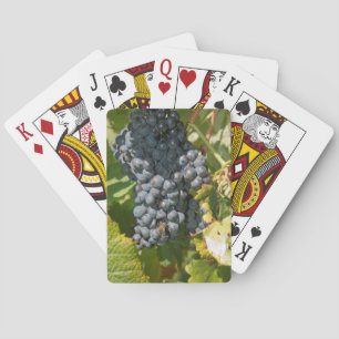 Uruguay, Montevideo, Colon Area. Bodegas Playing Cards