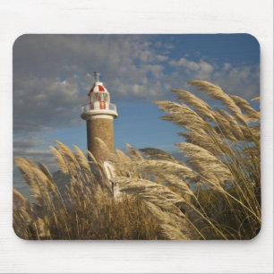 Uruguay, Montevideo Department, Montevideo. 2 Mouse Mat