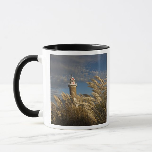 Uruguay, Montevideo Department, Montevideo. 2 Mug (Left)