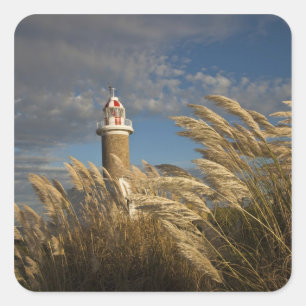Uruguay, Montevideo Department, Montevideo. 2 Square Sticker