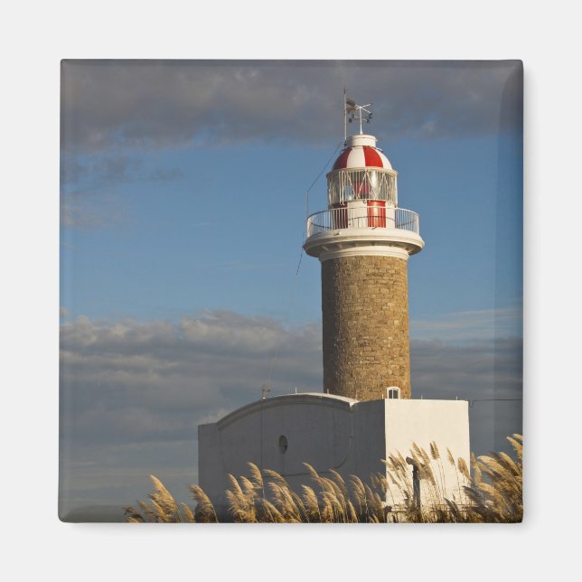 Uruguay, Montevideo Department, Montevideo. 3 Magnet (Front)