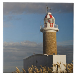 Uruguay, Montevideo Department, Montevideo. 3 Tile