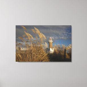 Uruguay, Montevideo Department, Montevideo. Canvas Print