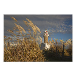 Uruguay, Montevideo Department, Montevideo. Photo Print