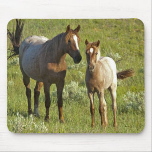 US35 CHA0209.jpg Mouse Mat
