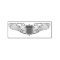 US Air Force Pilot Wings Crafting Rubber Stamp