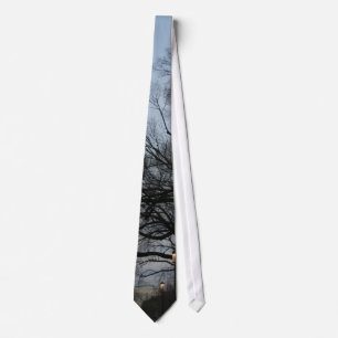 US Capitol at winter dusk photo Tie