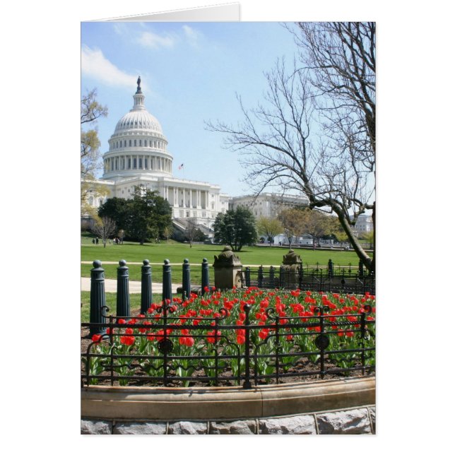 US Capitol building spring (Front)