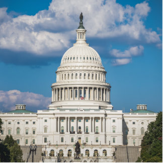 US Capitol Building Standing Photo Sculpture