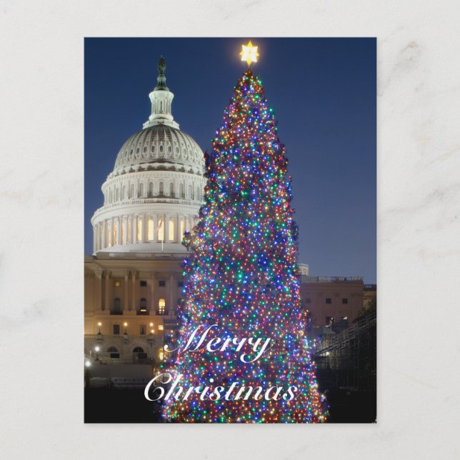 US Capitol Christmas Tree Postcard (Front)