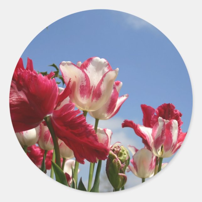 US Capitol spring Classic Round Sticker (Front)
