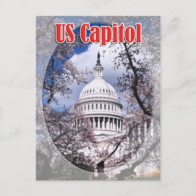 US Capitol with cherry blossoms, Washington DC Postcard (Front)