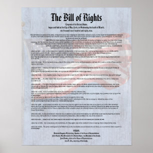 US Constitution Bill of Rights History Classroom Poster
