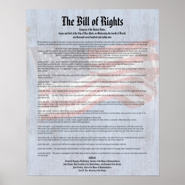 US Constitution Bill of Rights History Classroom Poster (Front)