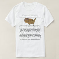 US Constitution Fourteenth Amendment Section 3