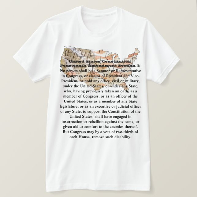 US Constitution Fourteenth Amendment Section 3 T-Shirt (Design Front)