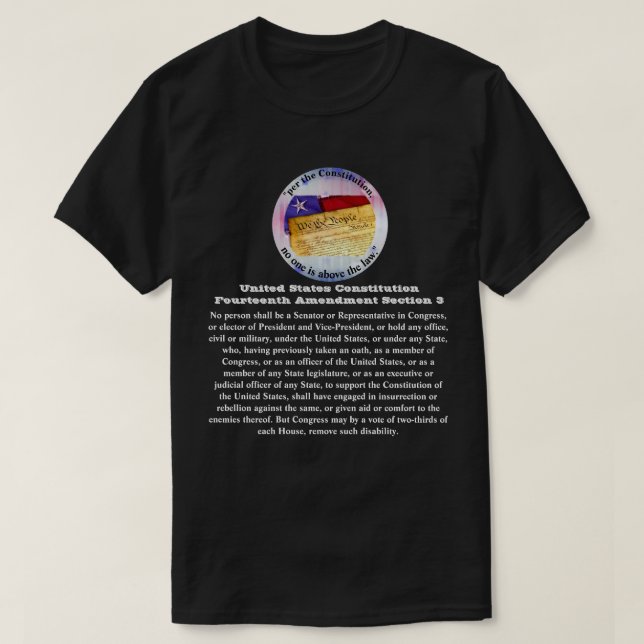 US Constitution Fourteenth Amendment Section 3 T-Shirt (Design Front)