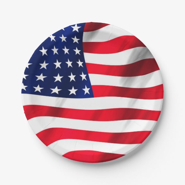 US Flag American Flag Fourth Of July Party Paper Plate (Front)