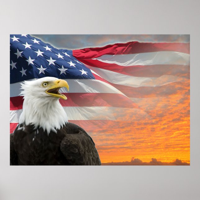 US Flag Eagle Poster (Front)