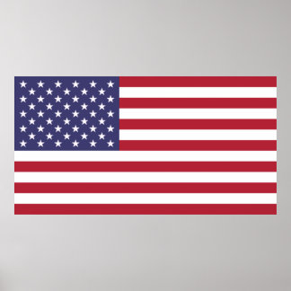 US Flag Poster