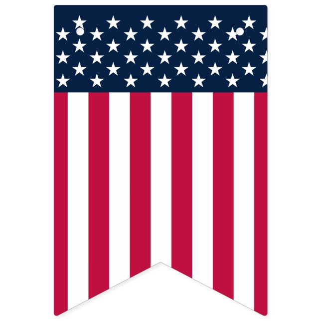  US Flag Stars and Stripes Bunting Flags (Fifth Flag)