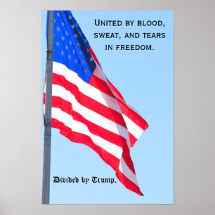 US flag: United...in freedom/ divided by Trump Poster