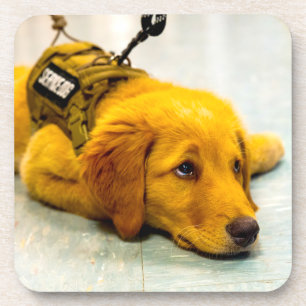 US MILITARY SERVICE DOG COASTER