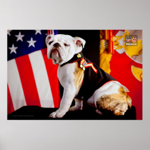 US MILITARY SERVICE DOG POSTER