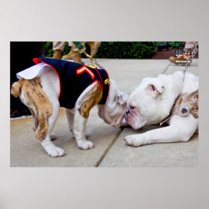 US MILITARY SERVICE DOG POSTER